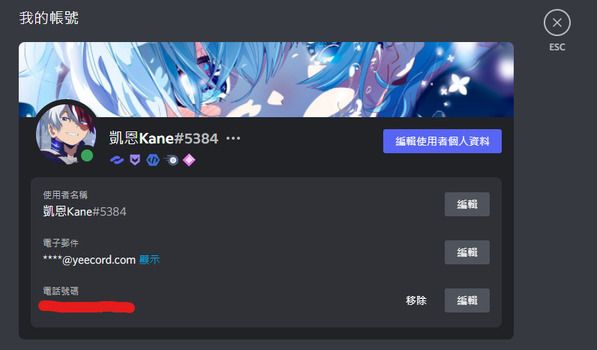 Discord 使用者設定
